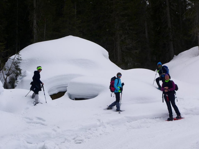 Excursion con raquetas.jpg